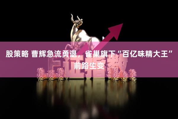 股策略 曹辉急流勇退，雀巢旗下“百亿味精大王”前路生变