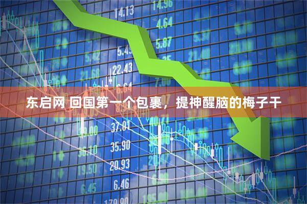 东启网 回国第一个包裹，提神醒脑的梅子干