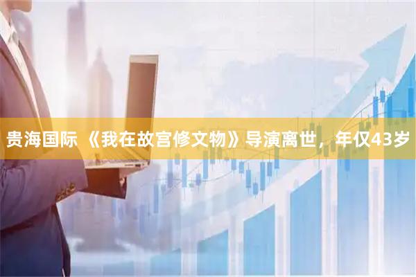 贵海国际 《我在故宫修文物》导演离世，年仅43岁