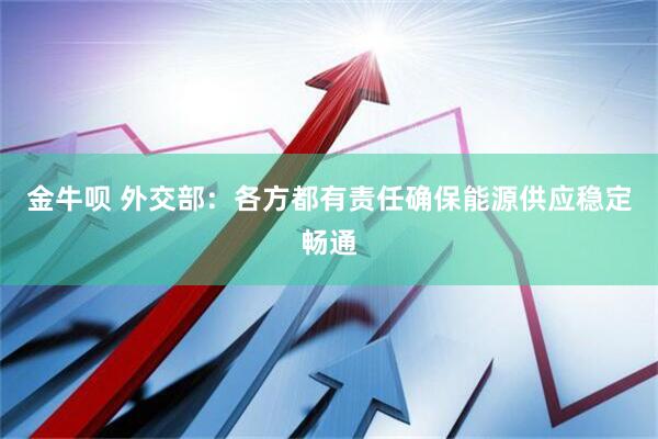 金牛呗 外交部：各方都有责任确保能源供应稳定畅通
