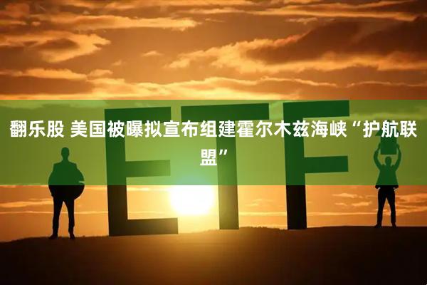 翻乐股 美国被曝拟宣布组建霍尔木兹海峡“护航联盟”