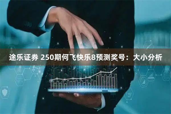 途乐证券 250期何飞快乐8预测奖号：大小分析