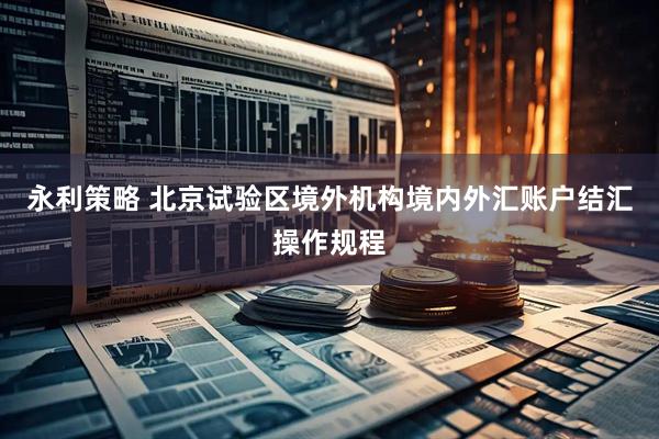 永利策略 北京试验区境外机构境内外汇账户结汇操作规程