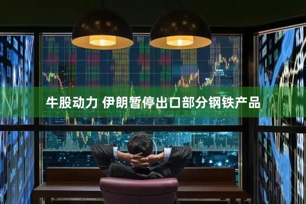 牛股动力 伊朗暂停出口部分钢铁产品