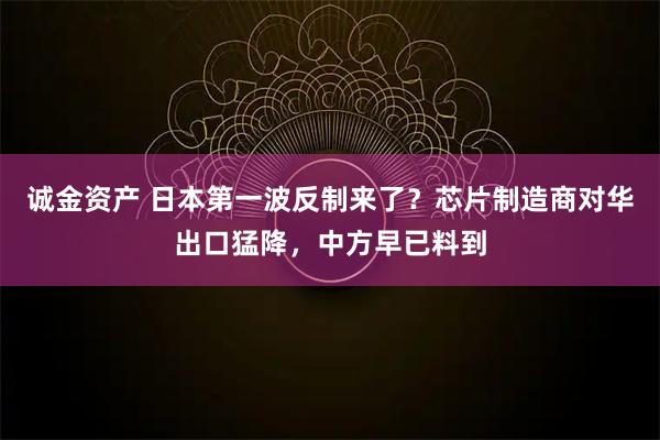 诚金资产 日本第一波反制来了？芯片制造商对华出口猛降，中方早已料到