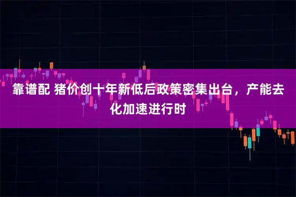 靠谱配 猪价创十年新低后政策密集出台，产能去化加速进行时