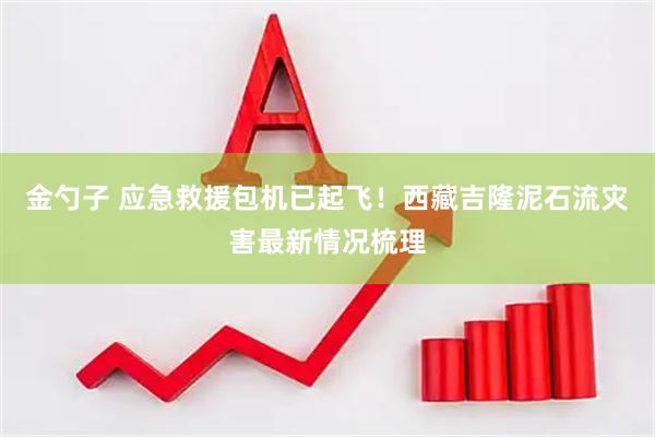 金勺子 应急救援包机已起飞!西藏吉隆泥石流灾害最新情况梳理